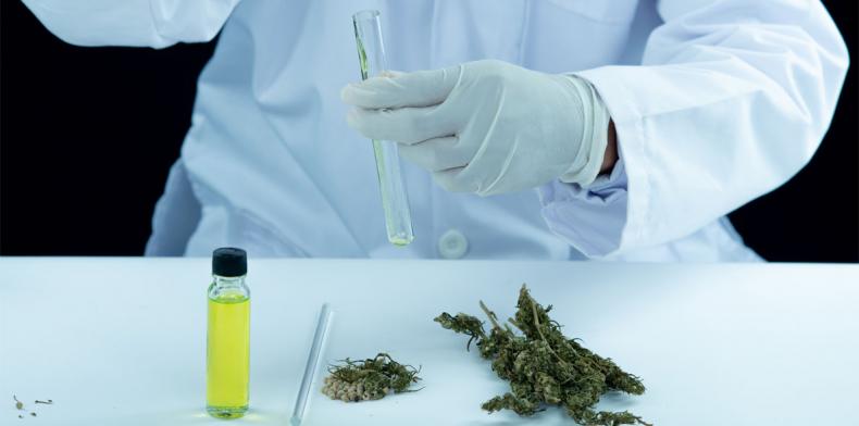 Properties and therapeutic benefits of marijuana oil that you may not have known