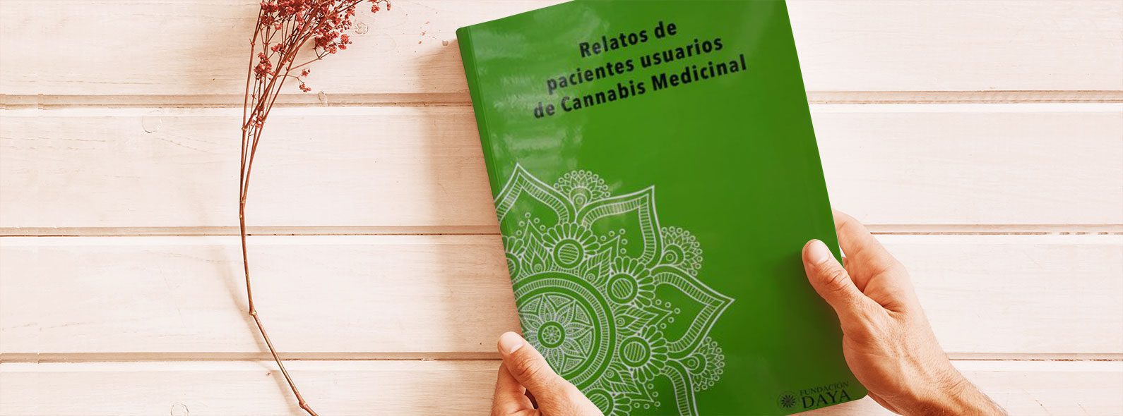 Stories of patients who use medicinal cannabis, from Fundación Daya