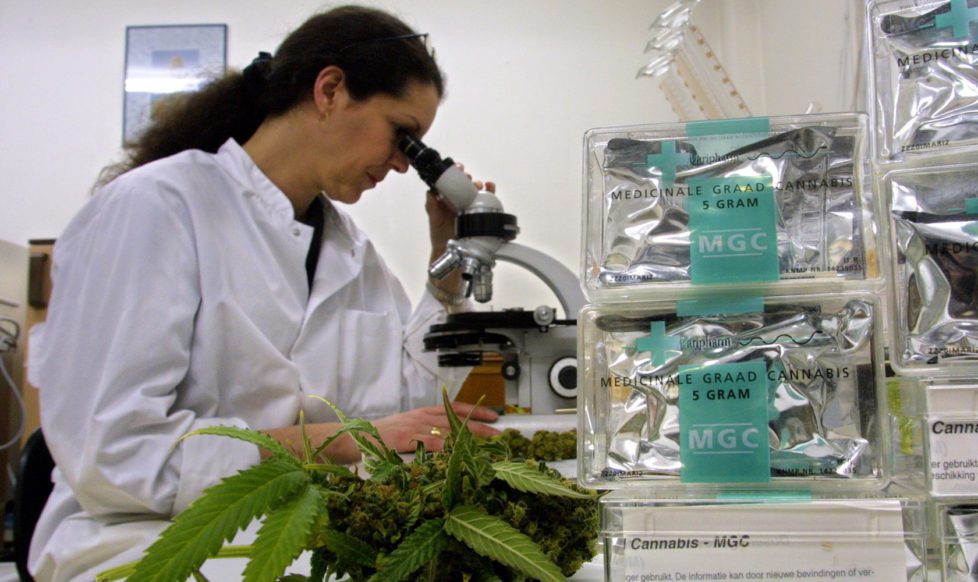 Review Identifies 140 Controlled Clinical Trials Related to Cannabis