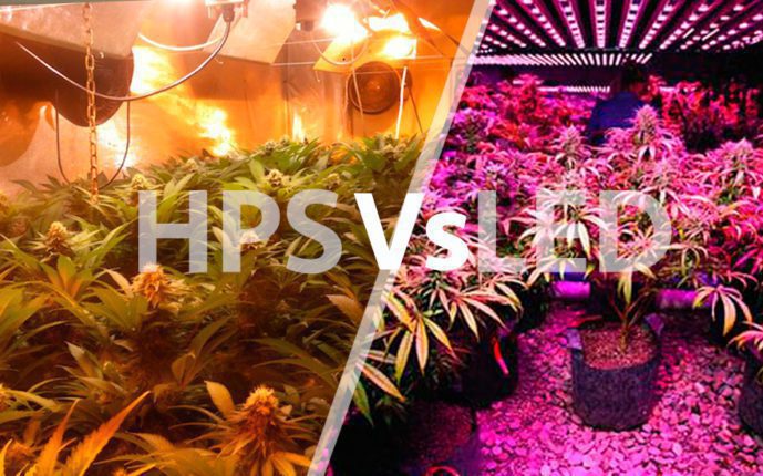 Sistemas de iluminación en el cultivo de interior: HPS Vs LED