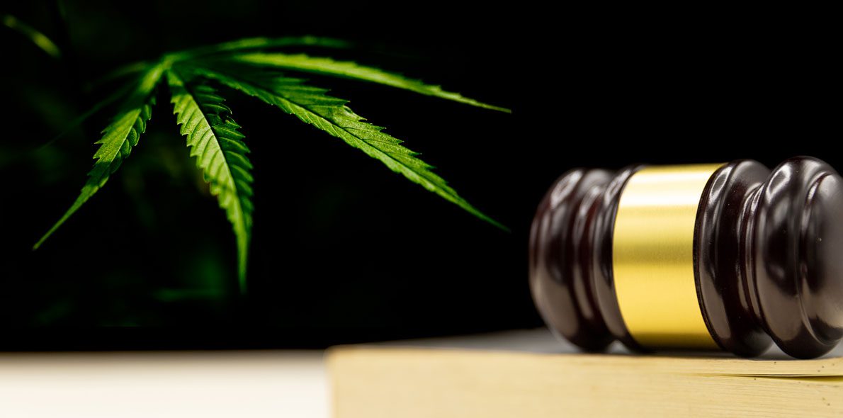 L&rsquo;espagne face à la régularisation du cannabis
