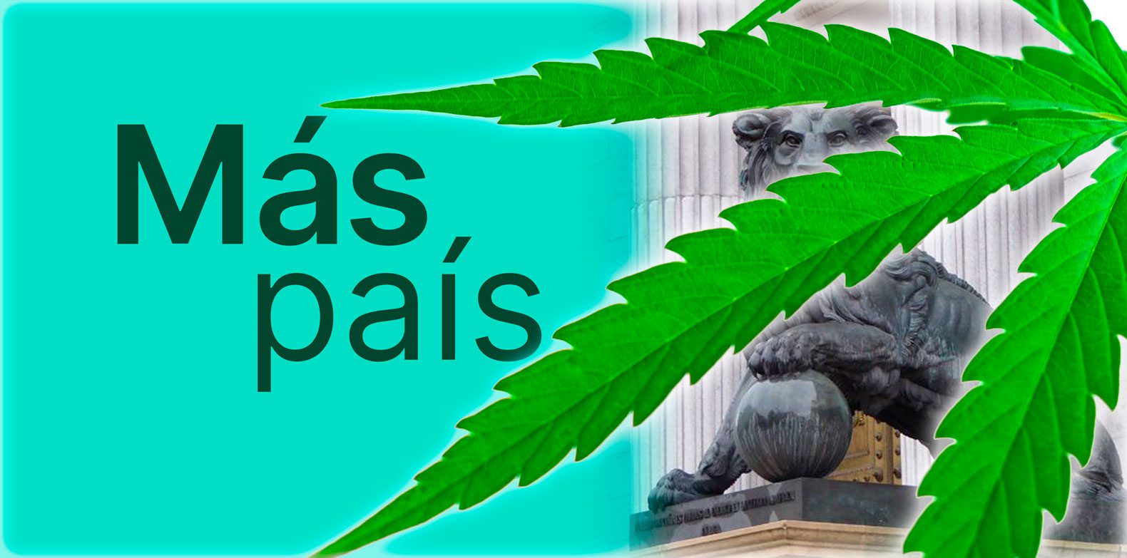 Comprehensive cannabis law in Spain