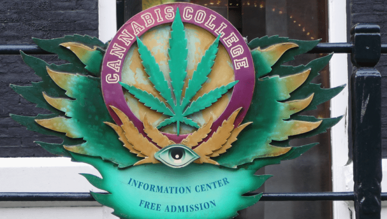 USA: University courses in cannabis