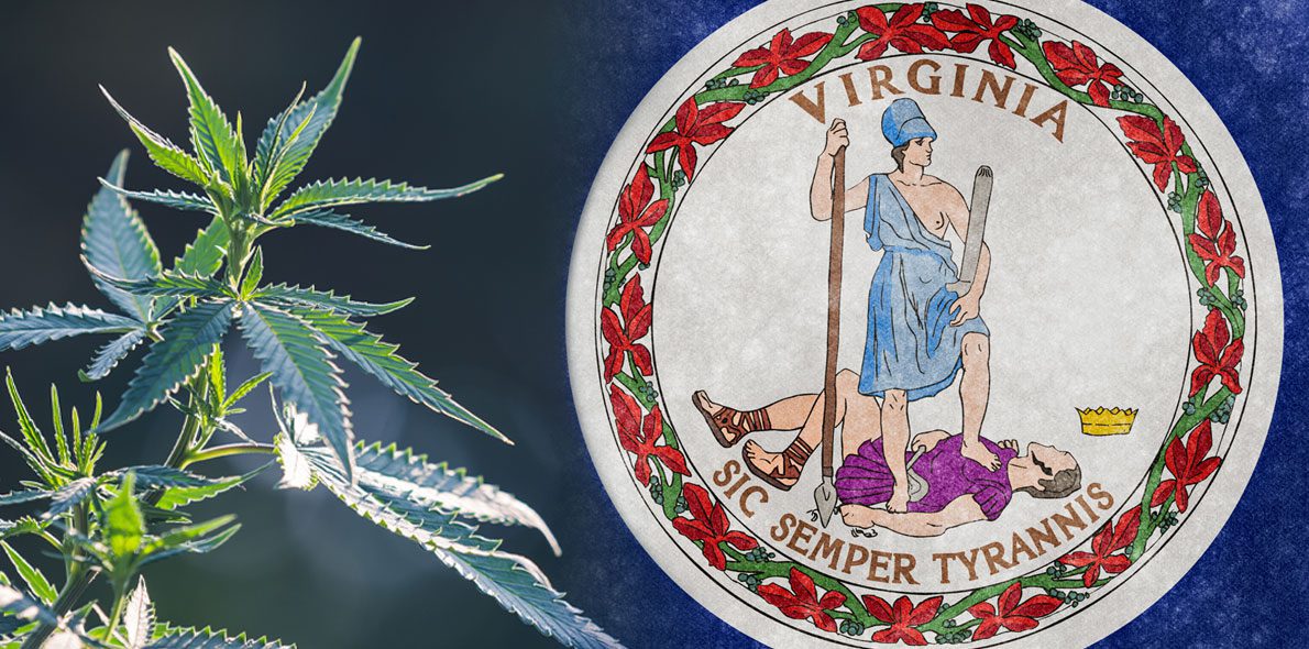 Virginia becomes the 27th state to decriminalise marijuana use in the United States