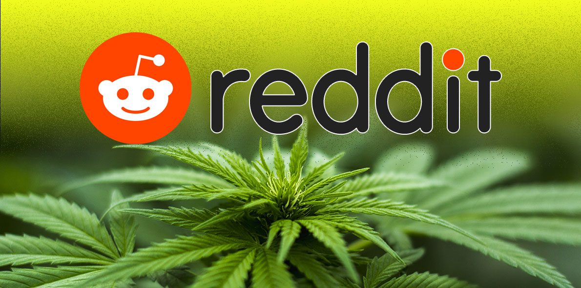 ¿Son las empresas de cannabis un objetivo para los miembros de Reddit?