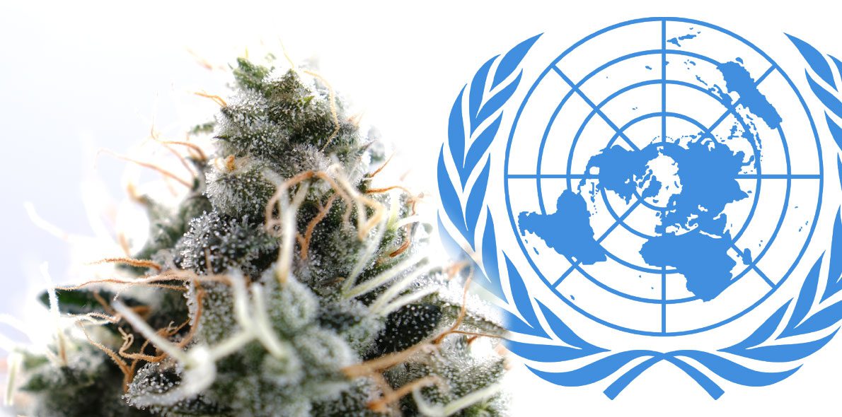 What is the situation of CBD in Spain after latest rulings by the EU and the UN?