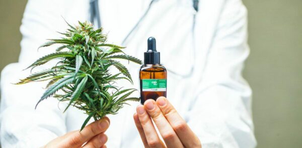 medical-cannabis-spain