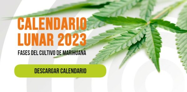 growing-calendar-2023-es