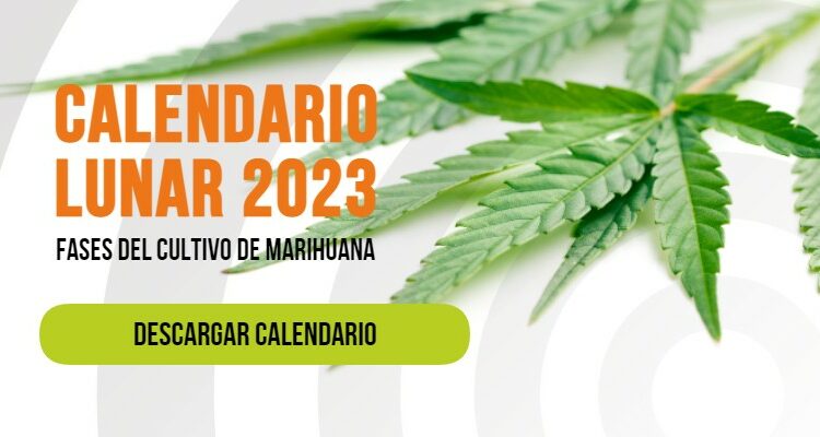 growing-calendar-2023-es