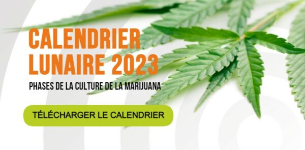 growing-calendar-2023-fr