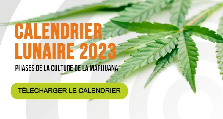 growing-calendar-2023-fr