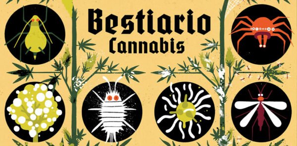 Bestiario-kannabia-plantas-marihuana