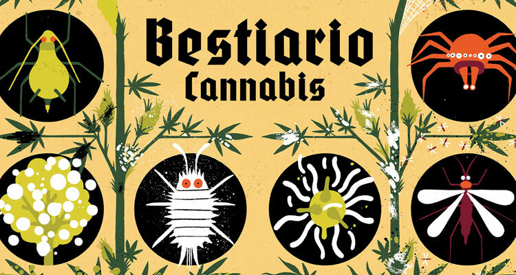 Bestiario-kannabia-plantas-marihuana