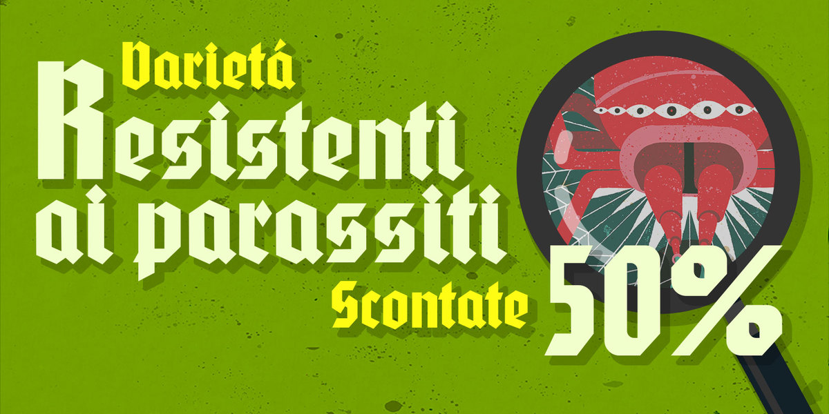 Banner de promoción en italiano