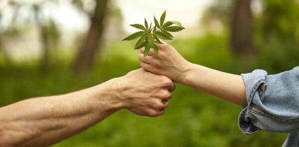 evidencias-beneficios-cannabis