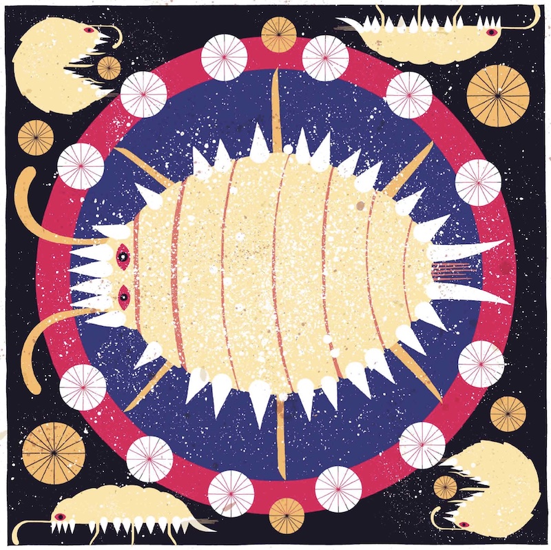Cochineal-illustration