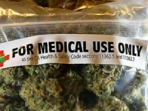 The medical use of hemp: Therapeutic cannabis in Italy