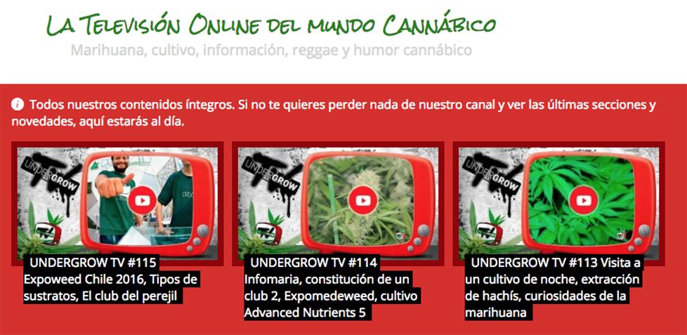 Undergrow.tv, televisión por la normalización del cannabis