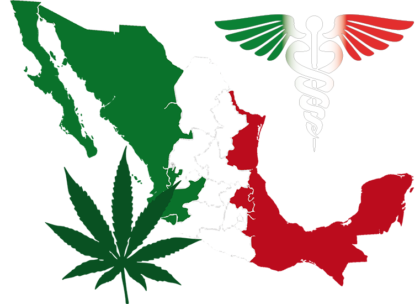 México despenaliza la marihuana con fines medicinales y científicos