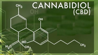 Marinol: cannabis sintético para terapia
