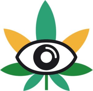 World Cannabis Conferences 2017: cannabis medicinal, sexo, música y mucho más