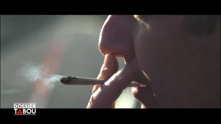 “Dossier Tabou”: El programa sobre cannabis de la cadena francesa M6