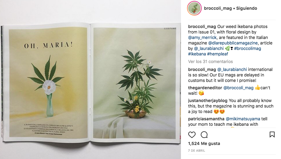The vaping god, cannabis notebooks and Broccoli Mag; Instagram stories