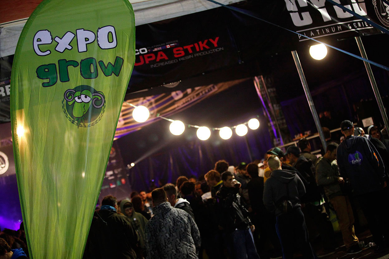 &#8211; UPGRADE &#8211; Expogrow presents the complete lineup of its seventh Music Festival