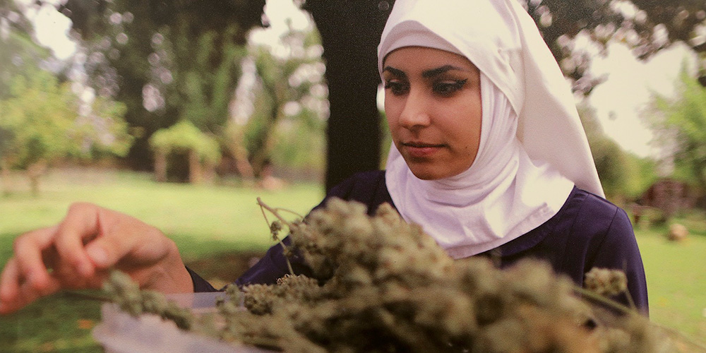 We Are Mary Jane: Women of cannabis