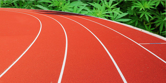 ¿Pueden el cannabis y deporte ir de la mano?