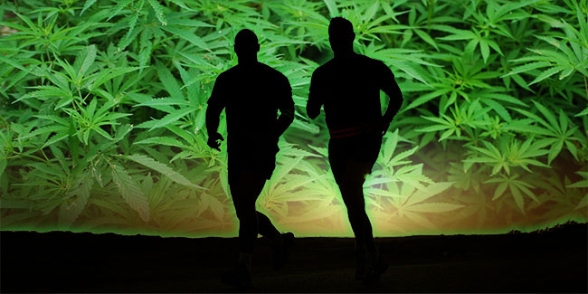 Sind Cannabis und Sport miteinander vereinbar?