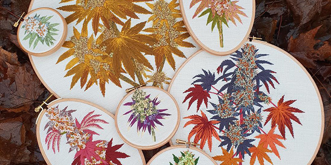 3 creative projects that have cannabis as their main inspiration