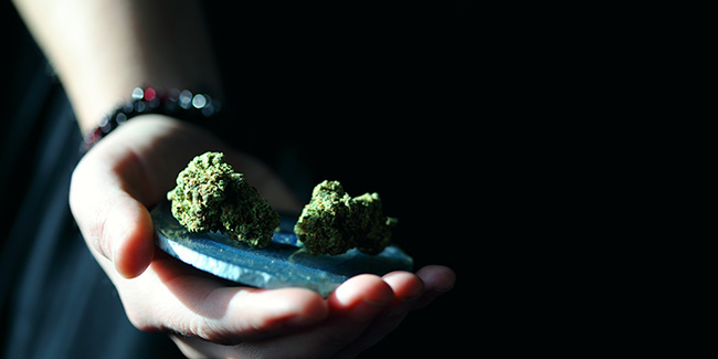 „Das Cannabis ist keine Frage von Zauberei“, erklärt die Gesundheitsministerin