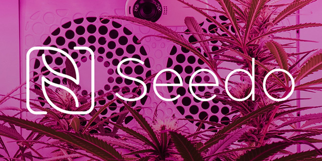 Seedo and Kibbutz Dan to create the first A.I. cannabis farm
