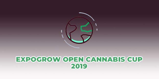 Expogrow 2019, the great cannabis party