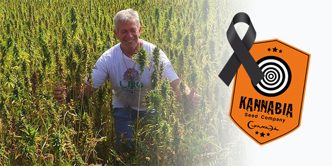 Malas noticias para el mundo del cannabis… el activista Nol van Schaik ha fallecido