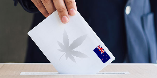 New Zealand submits cannabis regulation to referendum: what does the bill say?