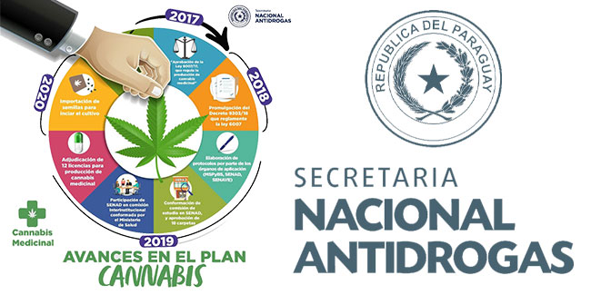 Paraguay, a un paso de despenalizar el consumo y el autocultivo de cannabis medicinal