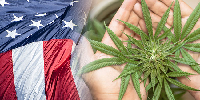 New US states legalize recreational and medical cannabis, among other substances, on Election Day