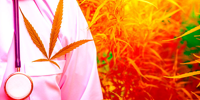 Die UNO erkennt den medizinischen Wert von Cannabis an