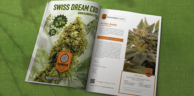 Cannabis und Werbung